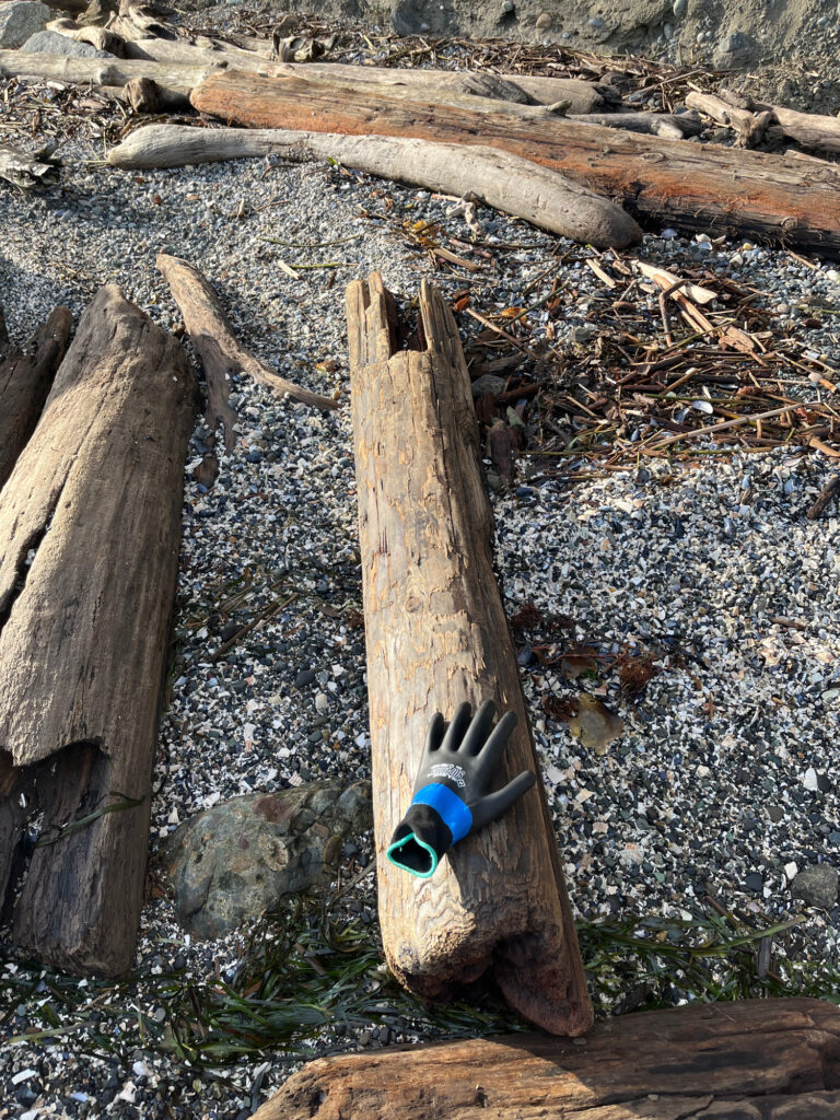 a wood carving of a duck (MyCoast AI)