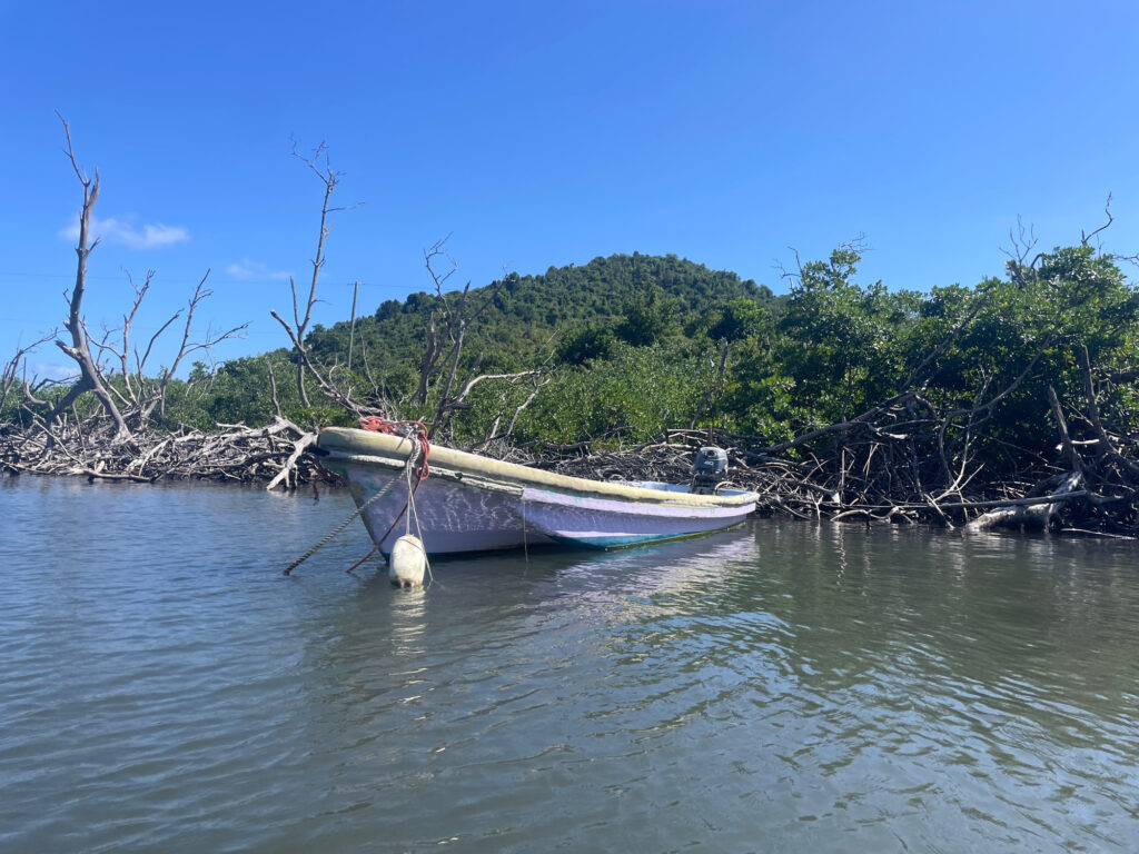 a boat sits in the middle of a river (MyCoast AI)