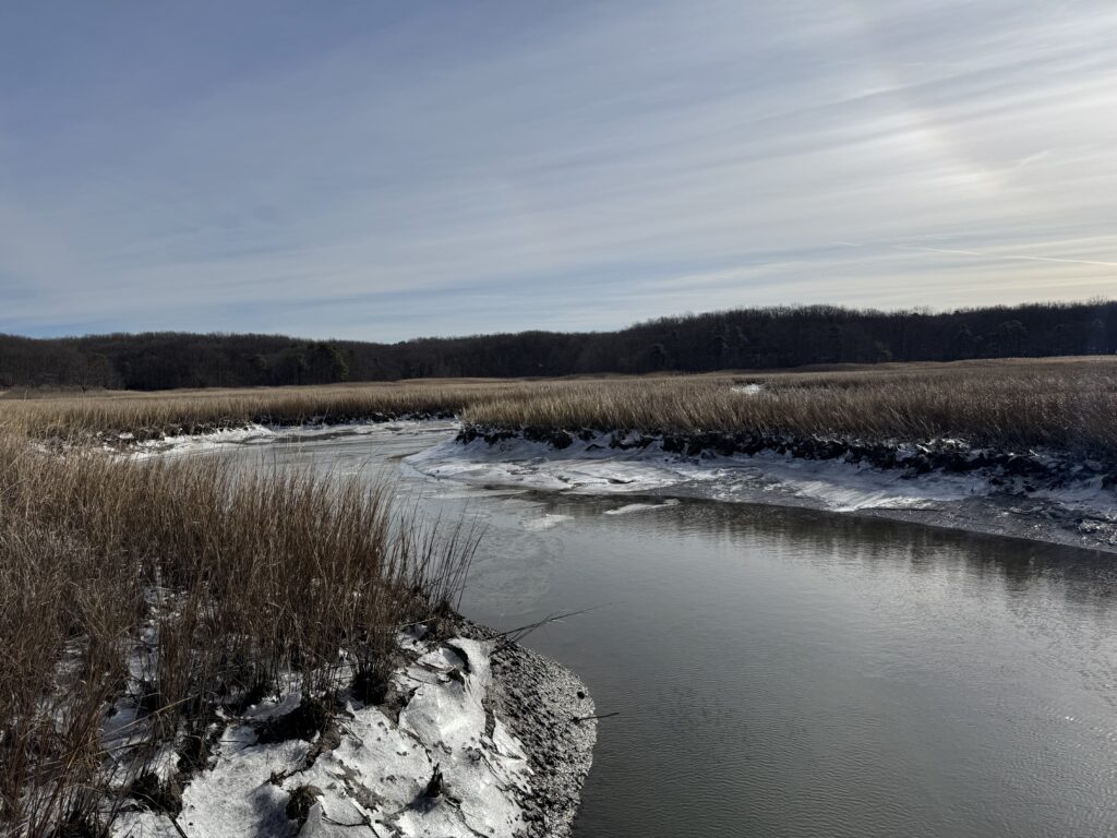 a lake with snow and trees (MyCoast AI)