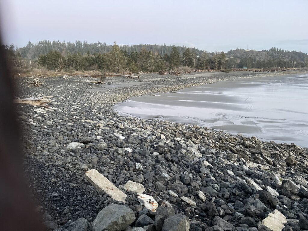 a rocky beach with a body of water in the background (MyCoast AI)
