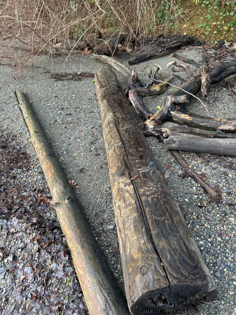 a group of logs (MyCoast AI)