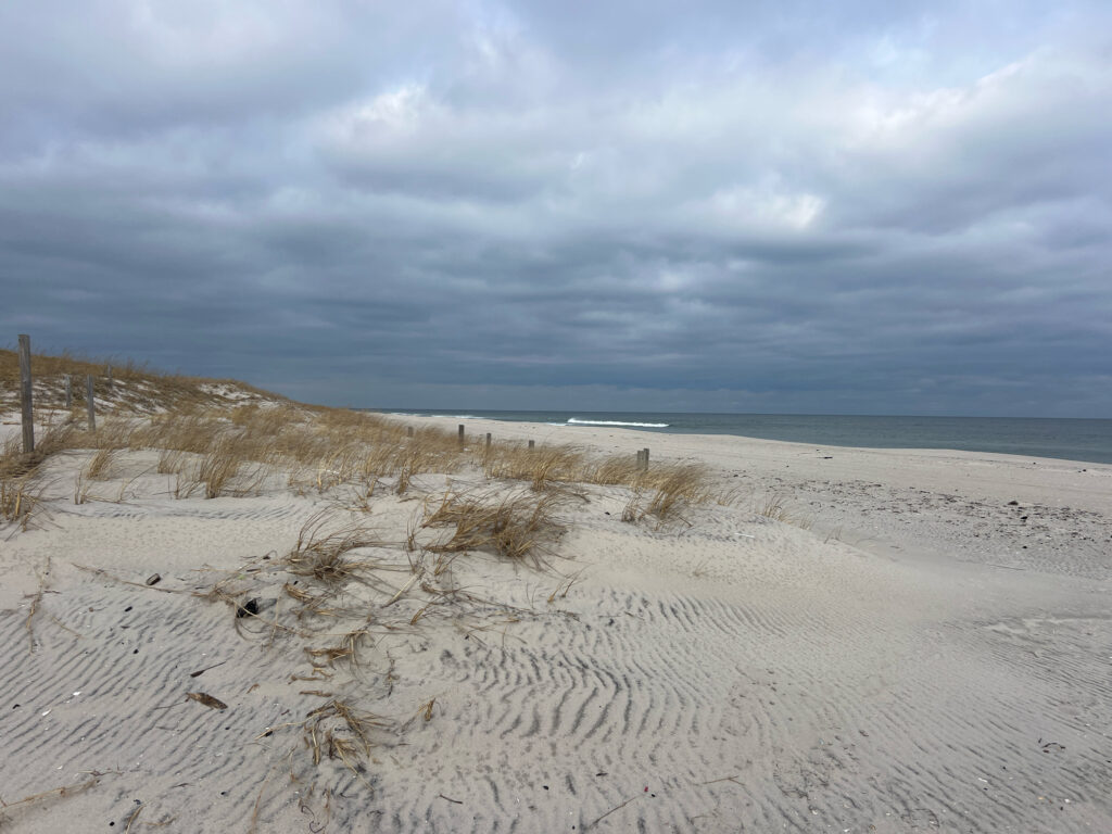 a sandy beach with grass and sand (MyCoast AI)