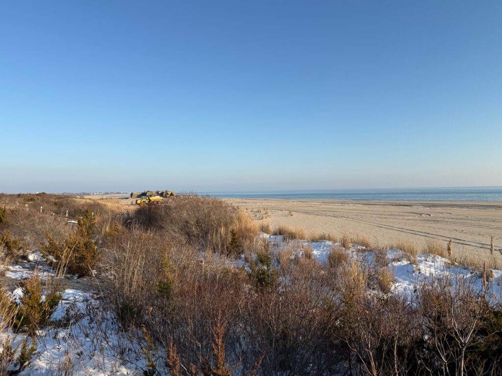 a landscape with snow and trees (MyCoast AI)