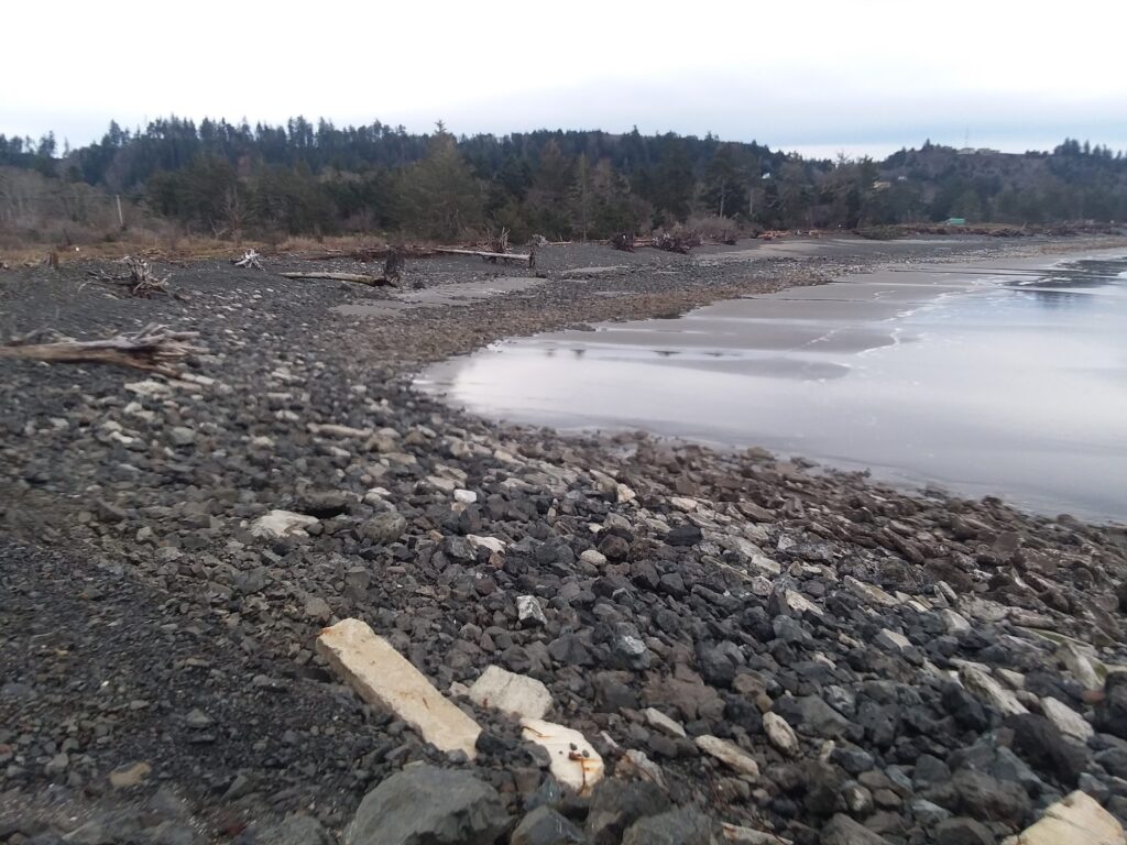 a rocky beach with a body of water in the background (MyCoast AI)