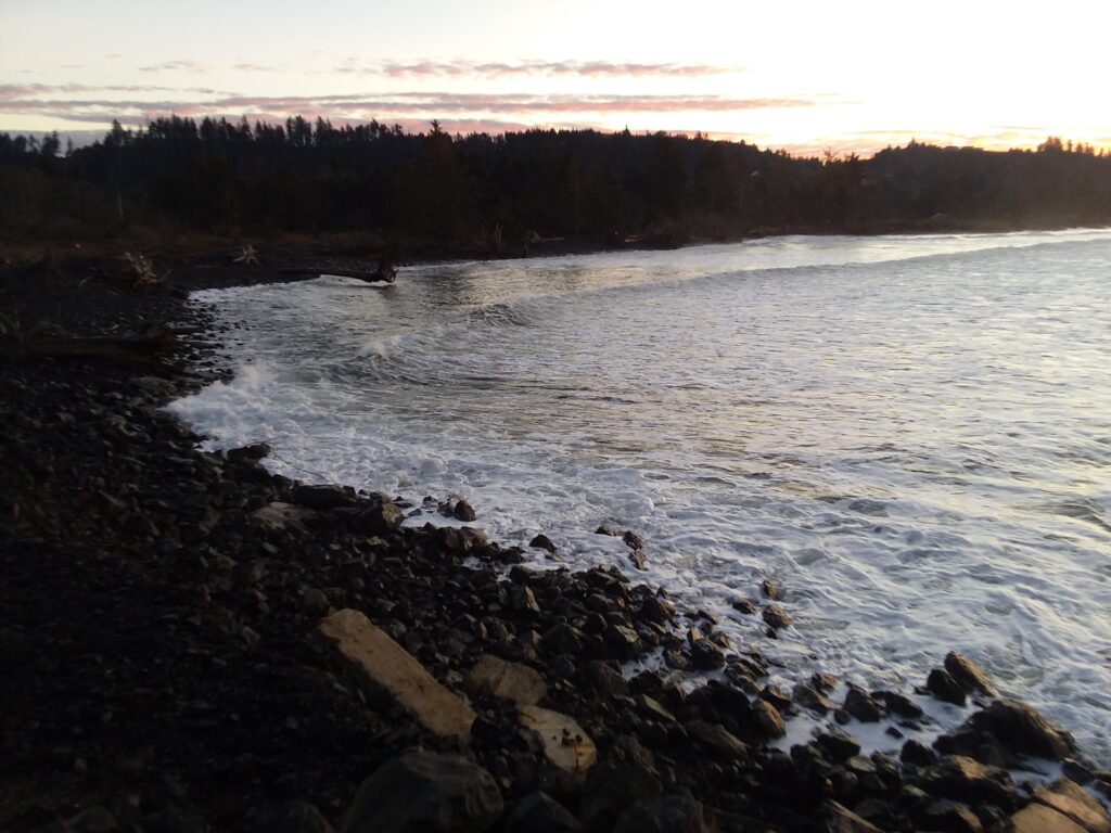 a rocky shore with a body of water and trees in the background (MyCoast AI)