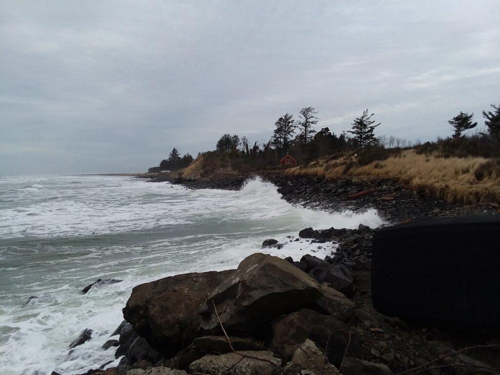 a rocky beach with trees and water (MyCoast AI)