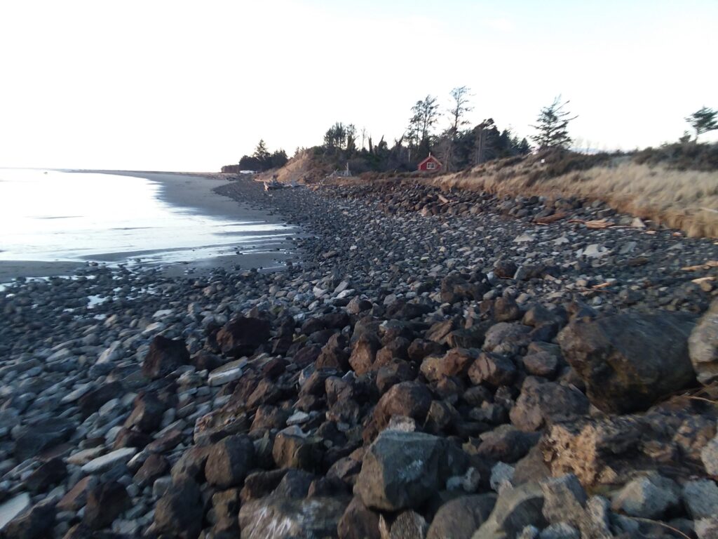 a rocky beach with trees in the background (MyCoast AI)