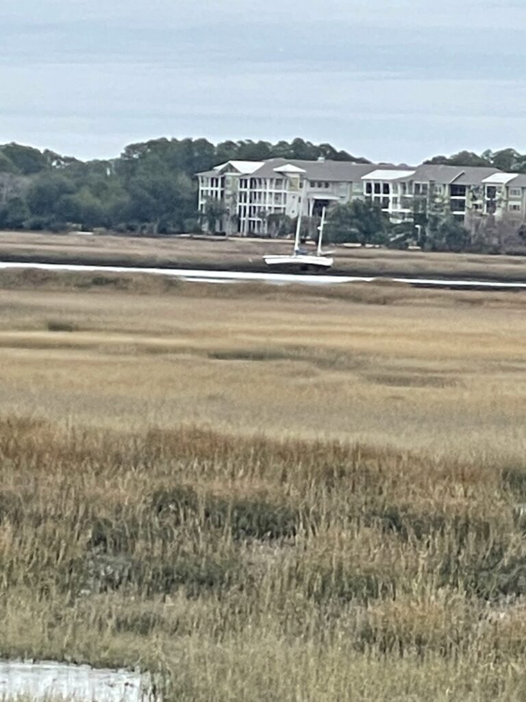 a plane flying over a field (MyCoast AI)