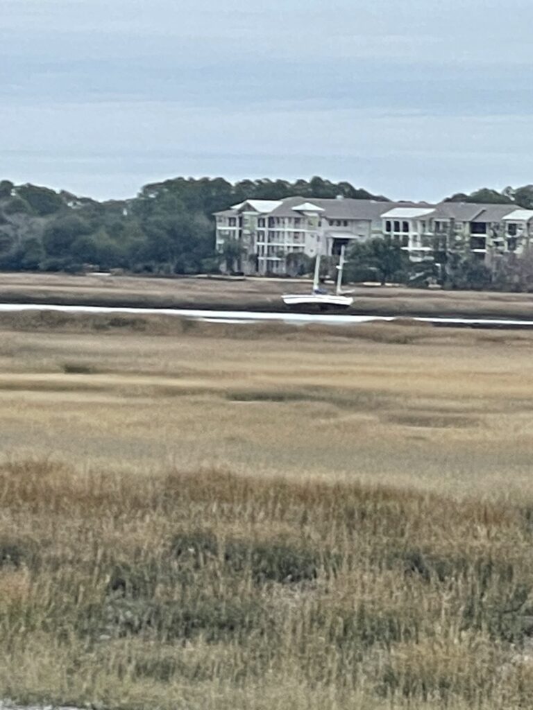 a plane flying over a field (MyCoast AI)