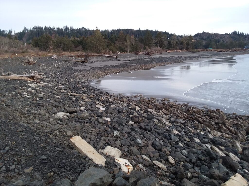 a rocky beach with a body of water in the background (MyCoast AI)