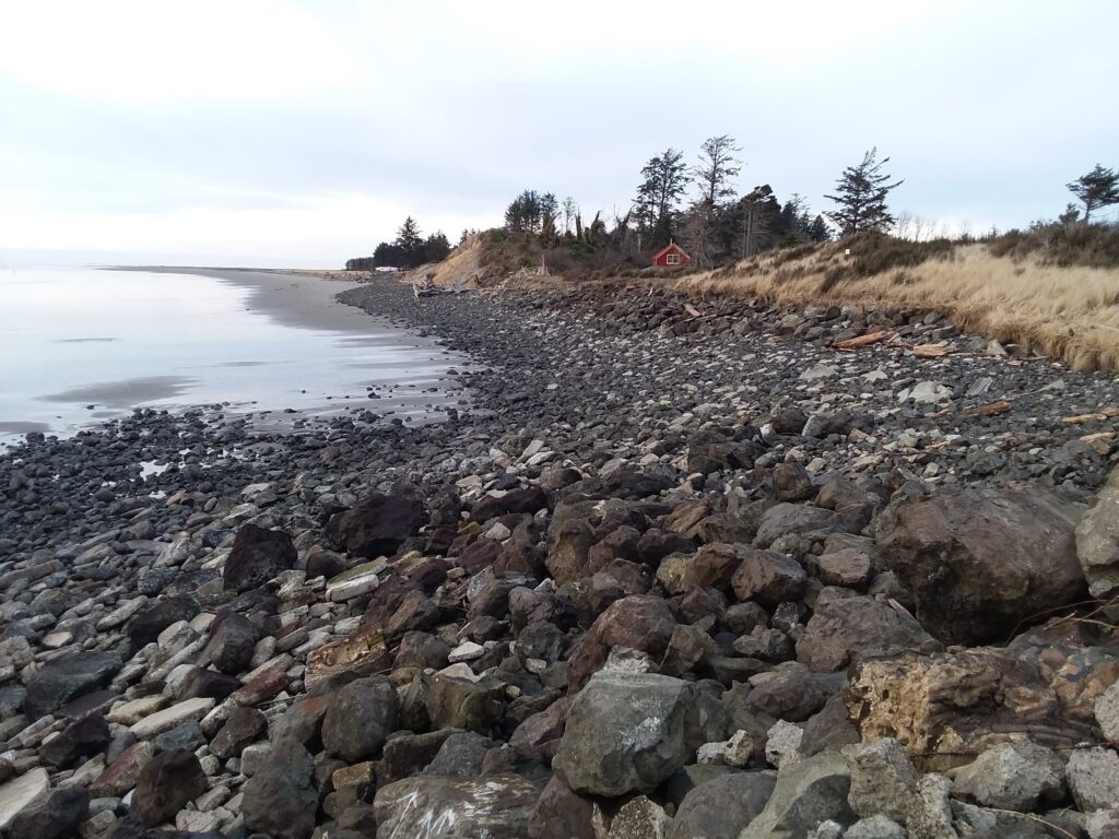 a rocky beach with trees in the background (MyCoast AI)