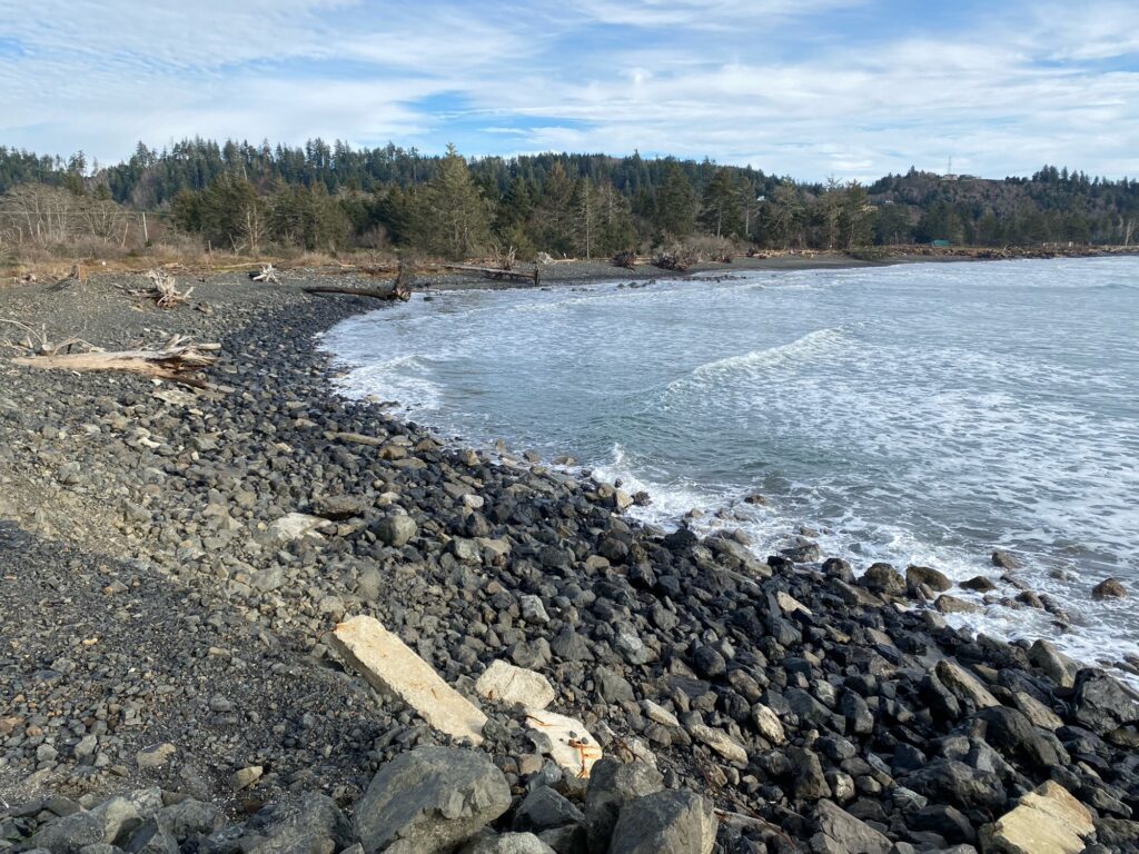 a rocky shore with a body of water and trees in the background (MyCoast AI)