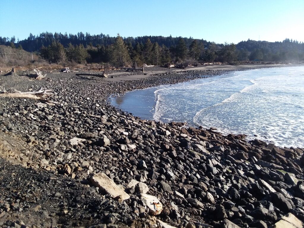 a rocky beach with trees in the background (MyCoast AI)