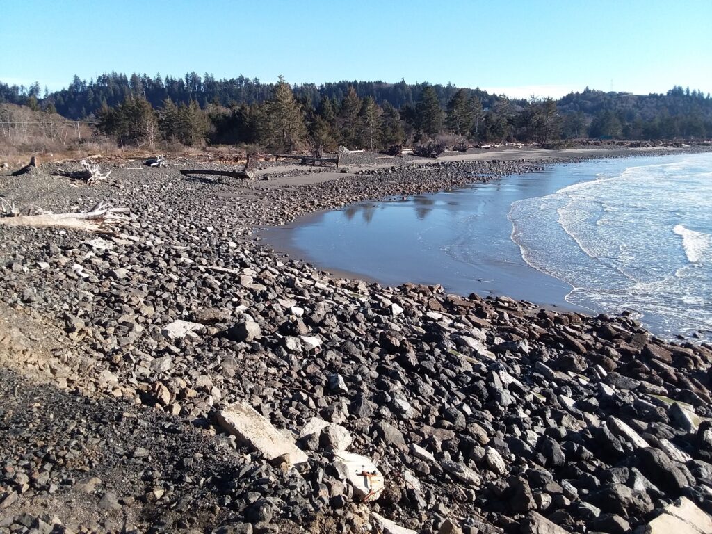 a rocky beach with a body of water and trees in the background (MyCoast AI)