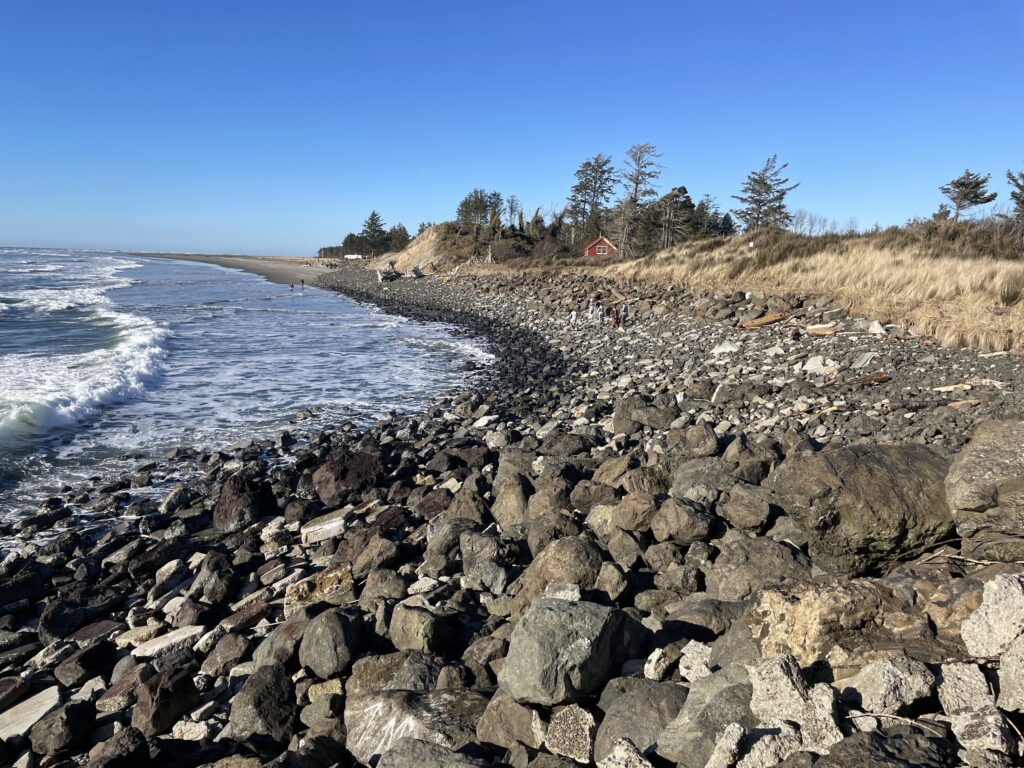 a rocky beach with trees and a body of water (MyCoast AI)
