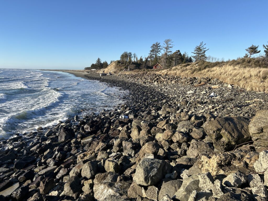 a rocky beach with trees and water (MyCoast AI)
