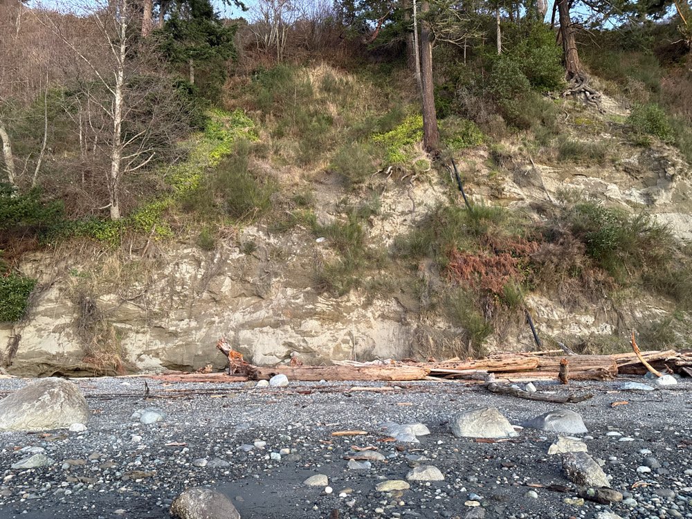 a rocky hillside with trees and plants (MyCoast AI)