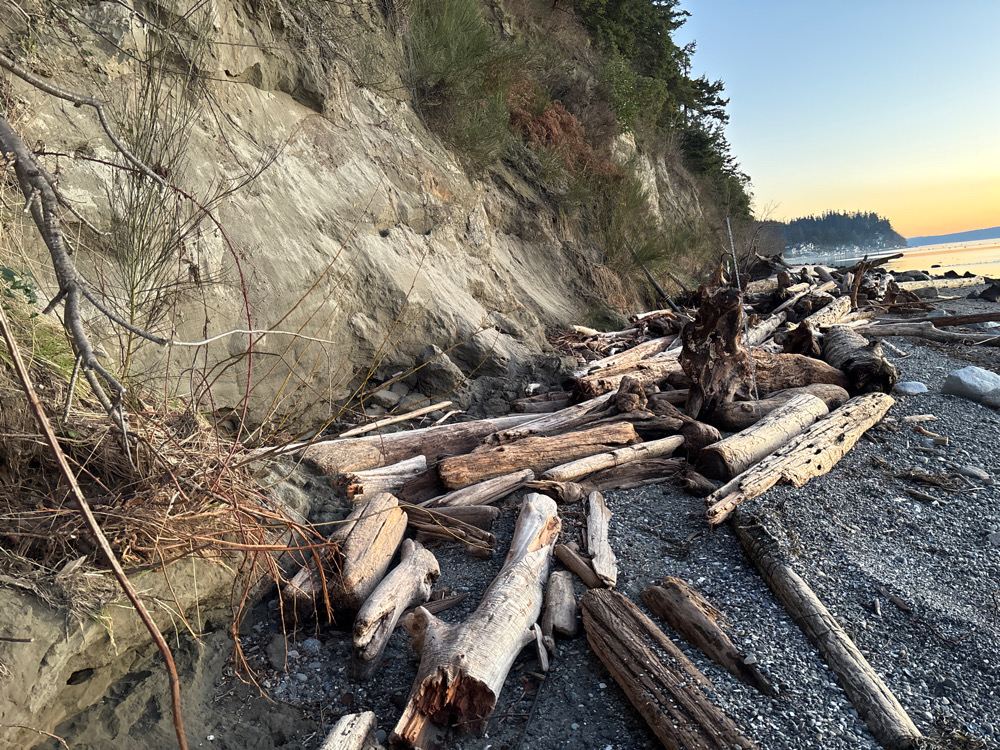 a pile of wood on a beach (MyCoast AI)