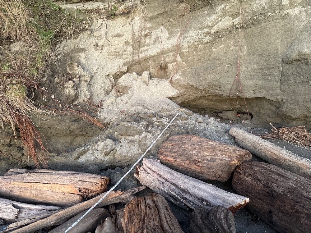 a stream with logs and a pipe (MyCoast AI)
