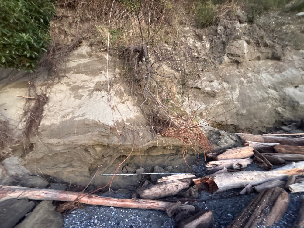 a stream with rocks and trees (MyCoast AI)