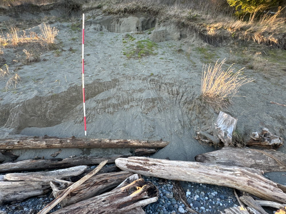 a river with logs and a red pole in the middle (MyCoast AI)