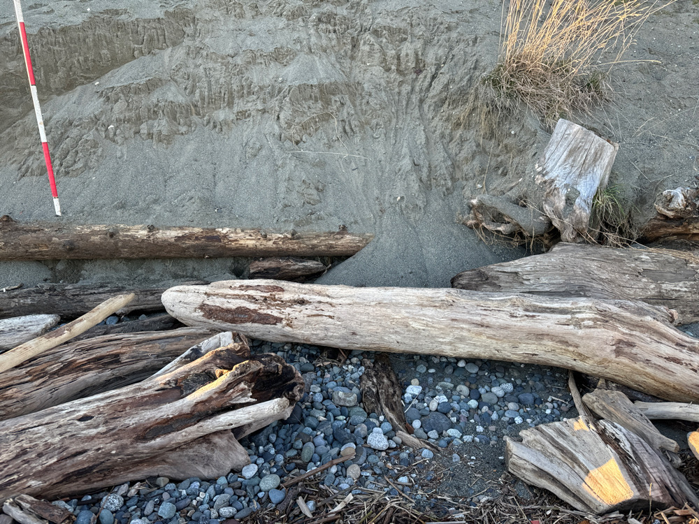 a pile of wood next to a wall (MyCoast AI)