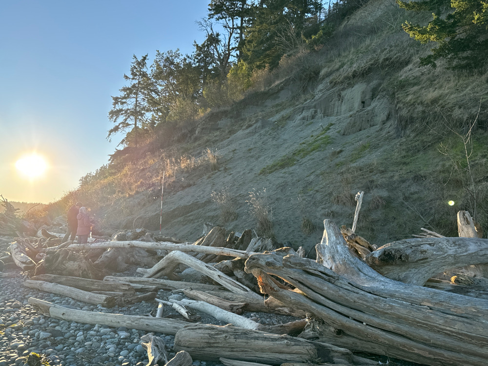 a group of people standing on a rocky hillside with a large pile of logs (MyCoast AI)