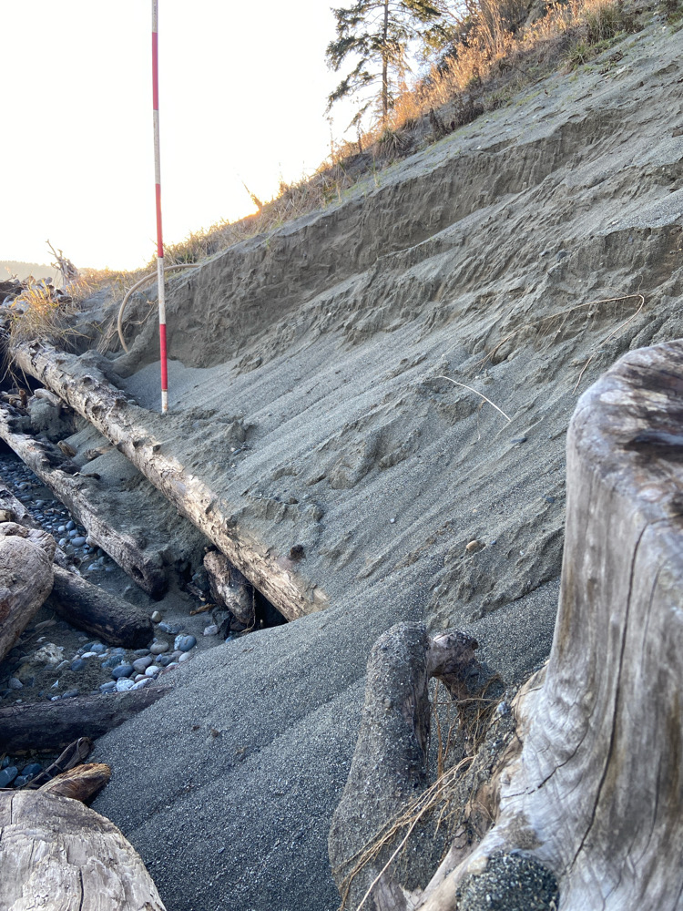 a rocky cliff side (MyCoast AI)