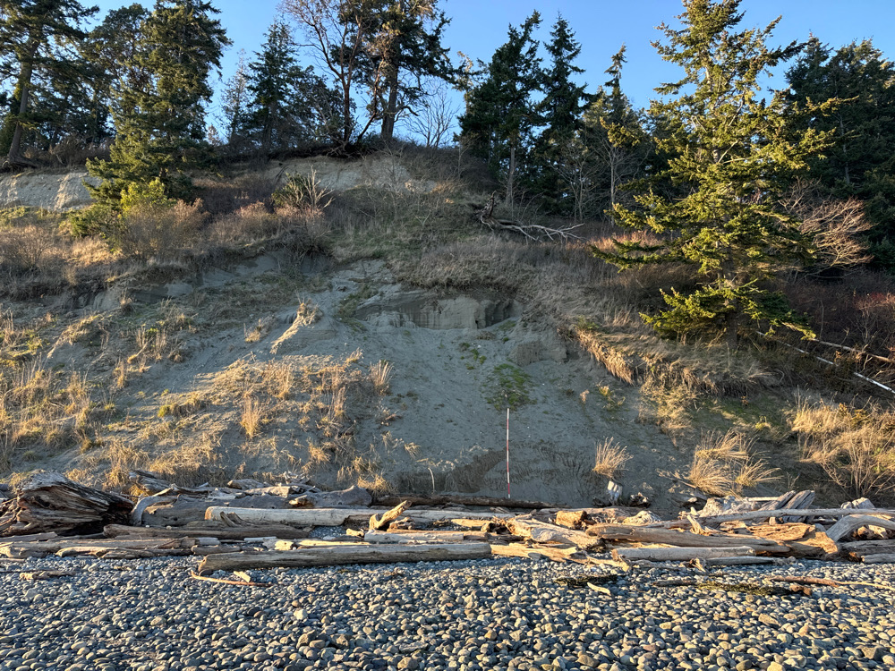 a rocky hillside with trees (MyCoast AI)