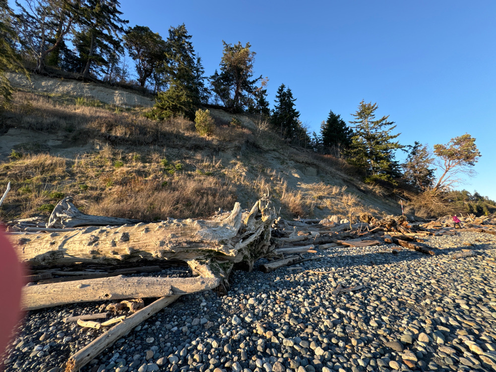 a rocky hillside with trees (MyCoast AI)