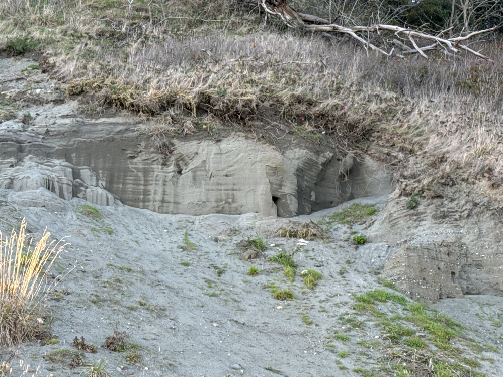 a small river flowing through a rocky area (MyCoast AI)