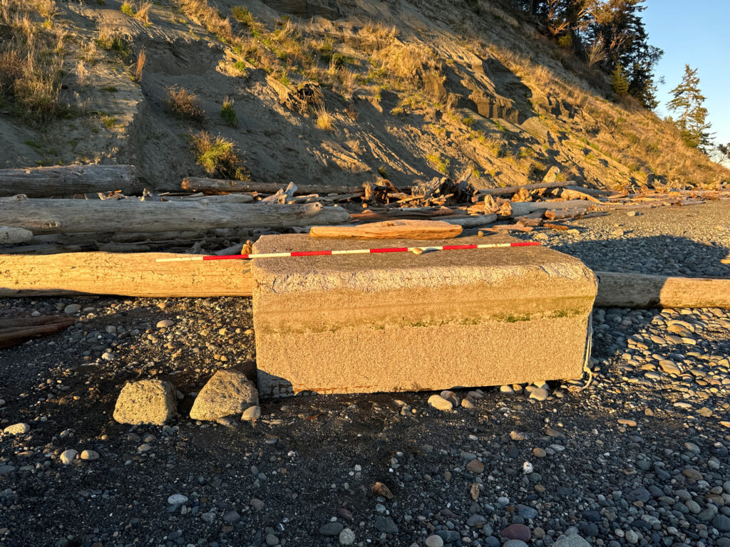 a bench sits unoccupied (MyCoast AI)
