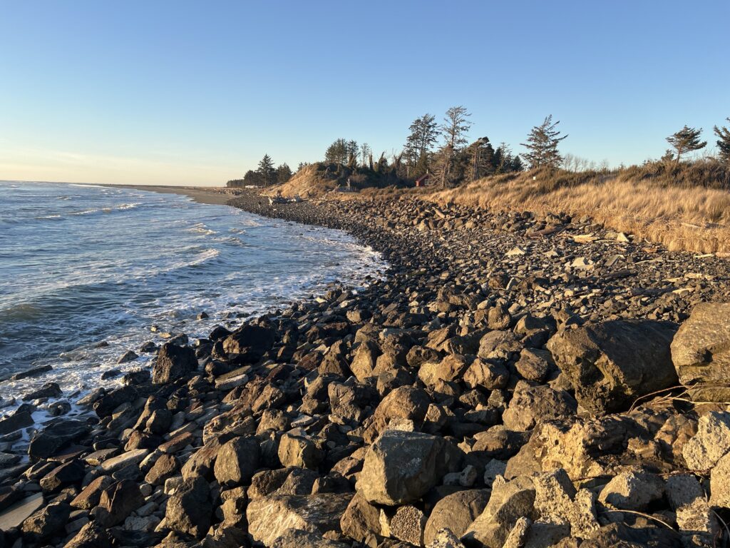 a rocky beach with trees and water (MyCoast AI)