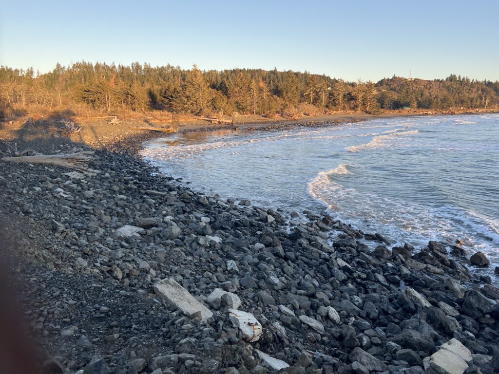 a rocky shore with trees in the background (MyCoast AI)