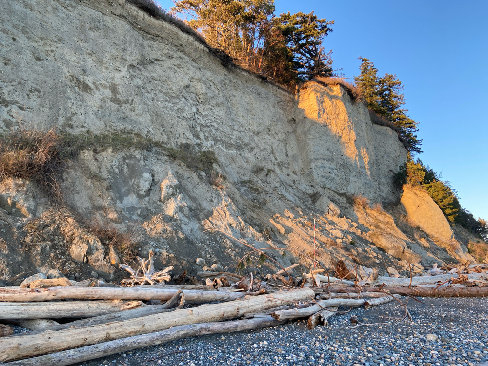 a rocky cliff with trees (MyCoast AI)