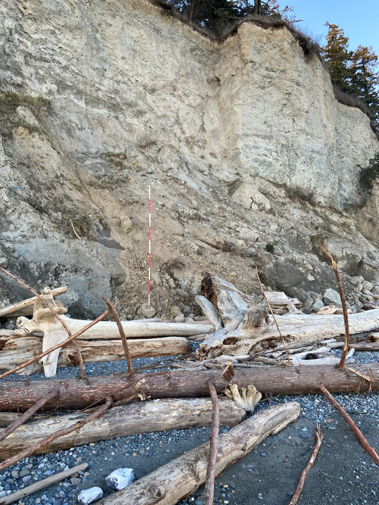 a group of sticks and sticks next to a rock wall (MyCoast AI)