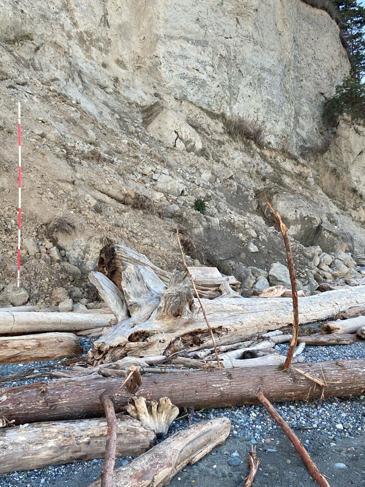a group of sticks and sticks (MyCoast AI)