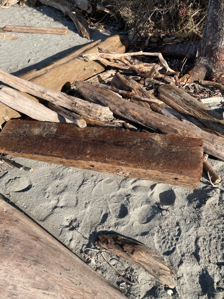 a pile of cut wood (MyCoast AI)