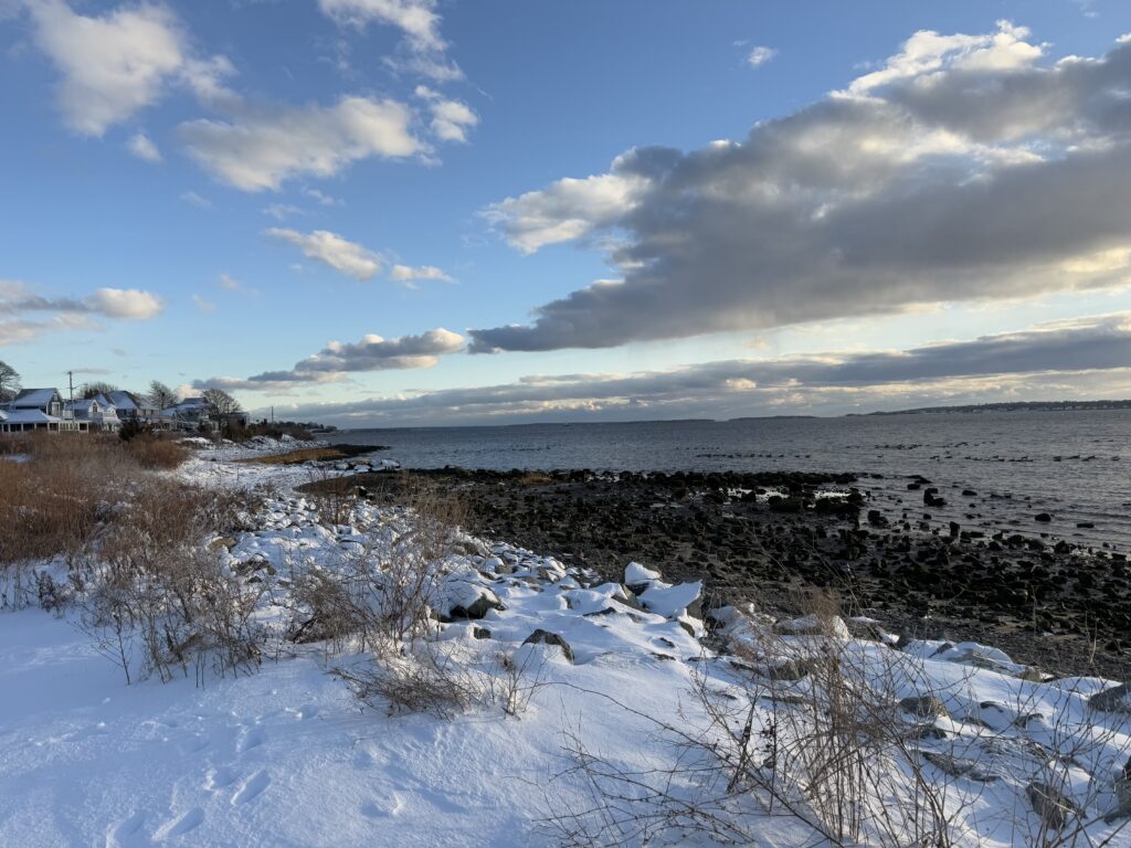 a snowy landscape with a body of water in the distance (MyCoast AI)