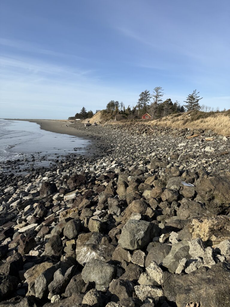 a rocky beach with trees and water (MyCoast AI)