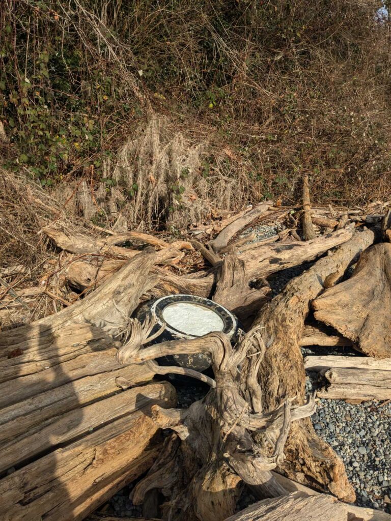 a metal object on a log (MyCoast AI)