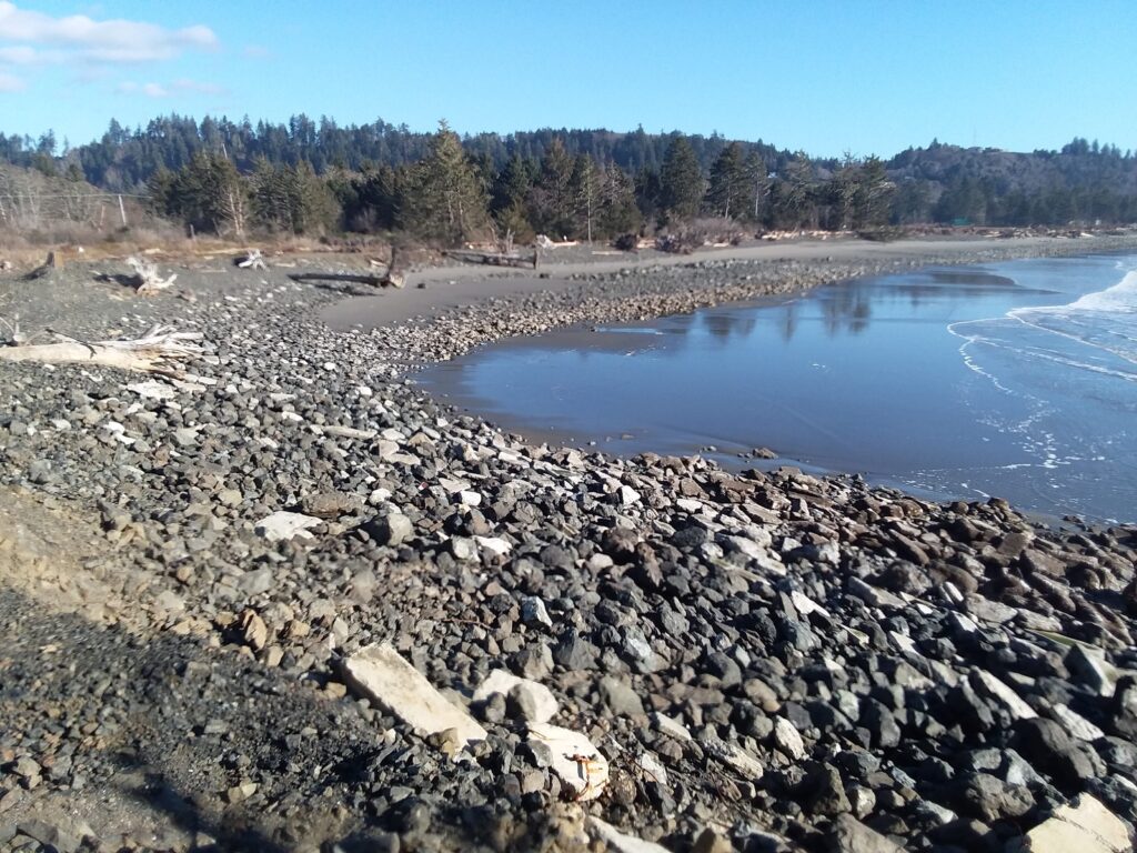 a rocky beach with a body of water and trees in the background (MyCoast AI)