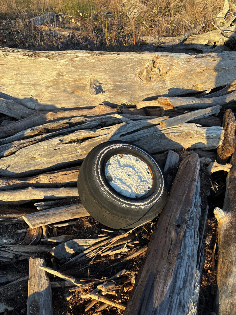 a tire on a log (MyCoast AI)