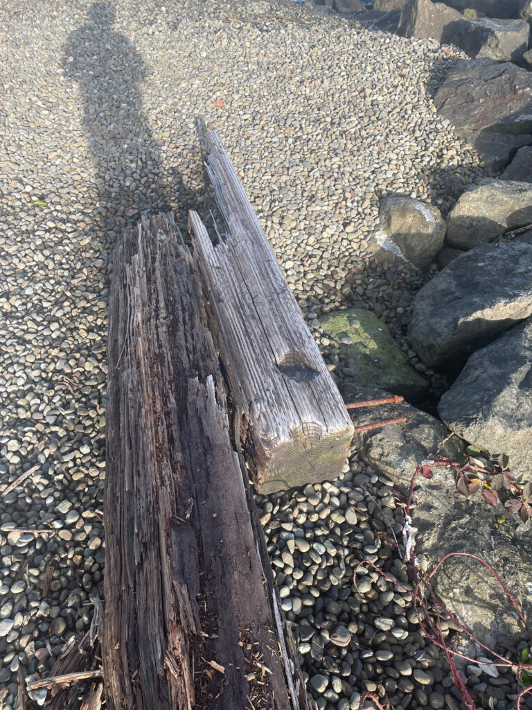 a wood cross on a rocky surface (MyCoast AI)