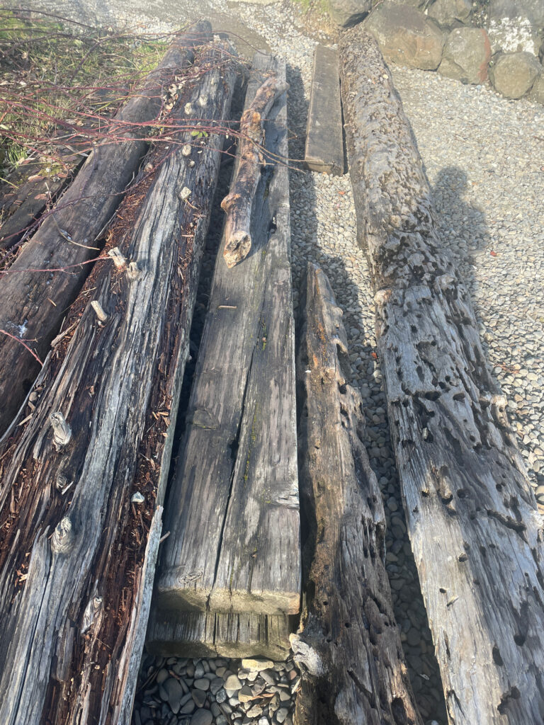a close-up of a trench (MyCoast AI)