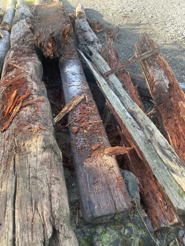 a close-up of some wood (MyCoast AI)