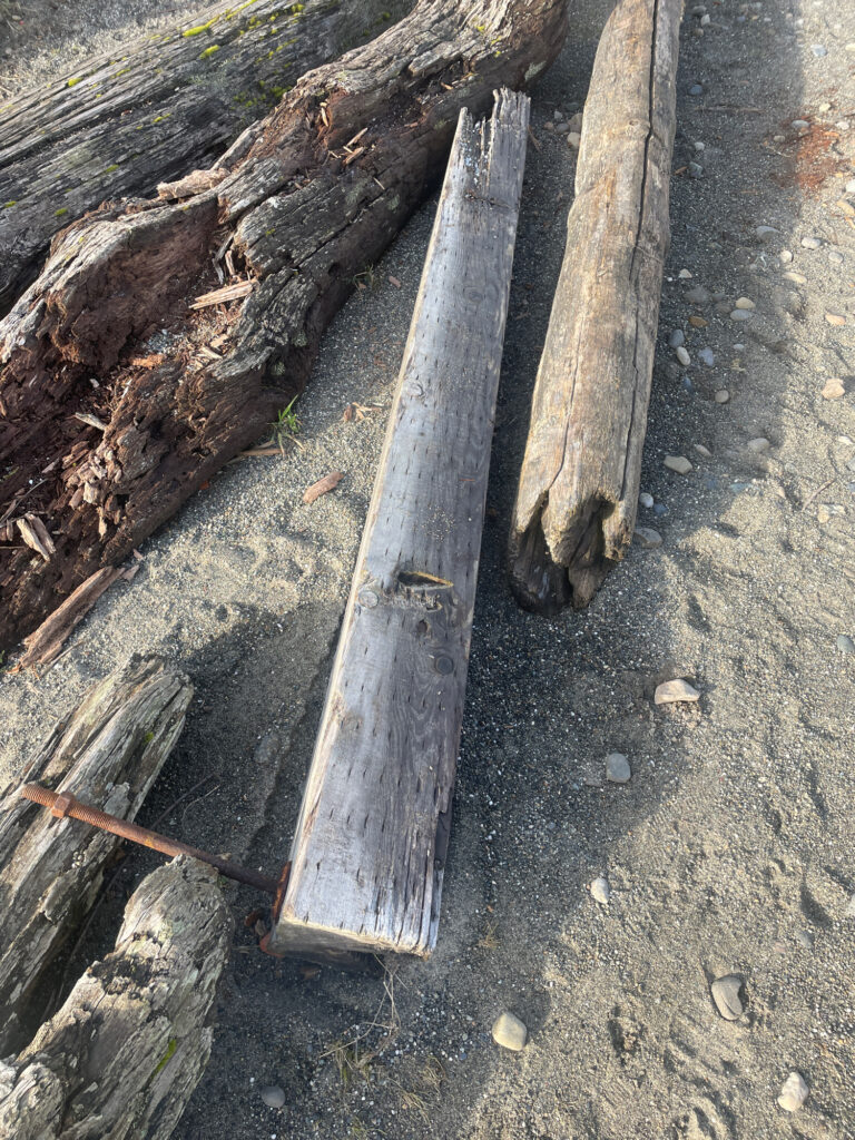 a wooden plank on the ground (MyCoast AI)