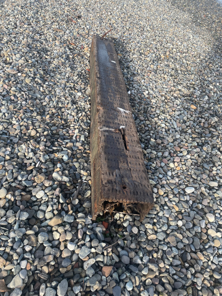 a piece of wood on a gravel surface (MyCoast AI)