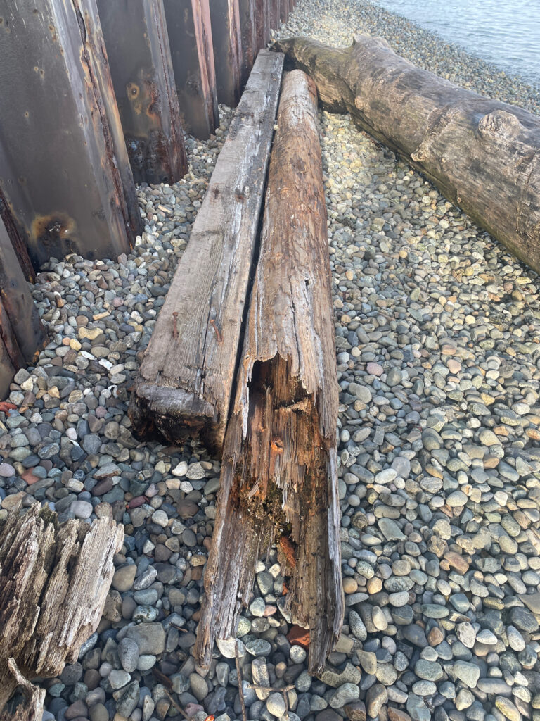 a wooden bench on a rocky beach (MyCoast AI)