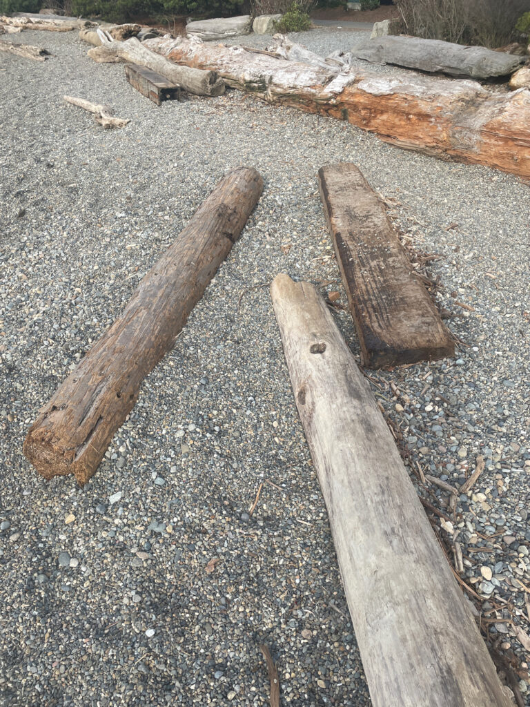 a group of wood pieces on the ground (MyCoast AI)